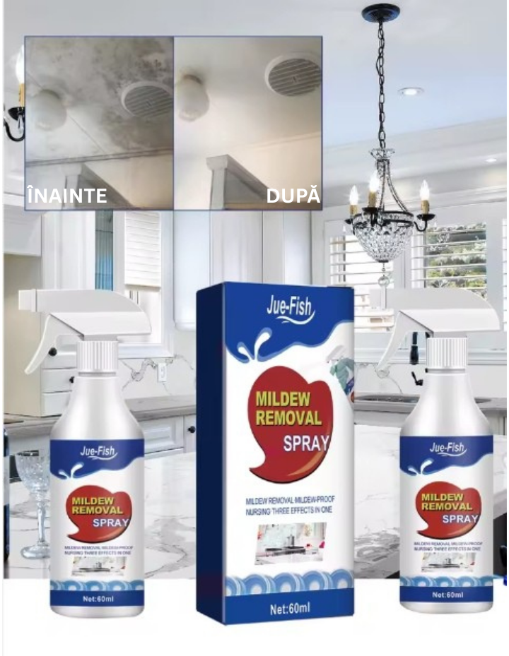 Soluție Antimucegai